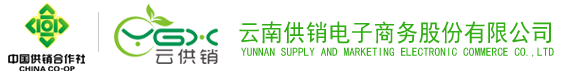 zoty中欧电子商务股份有限公司
